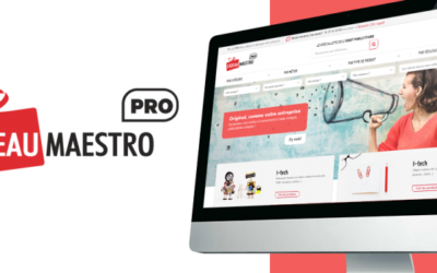 Mes premiers pas et mes missions chez Cadeau Maestro