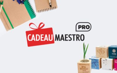 Bilan de mon stage chez Cadeau Maestro